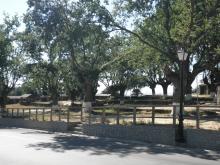 Campo da Feira