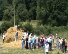 Festa da Malla en Láncara