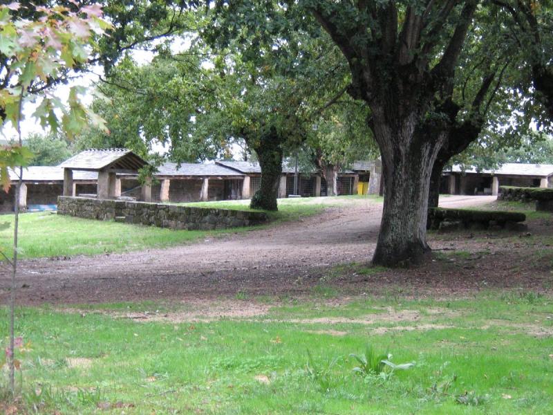 Campo da Feira
